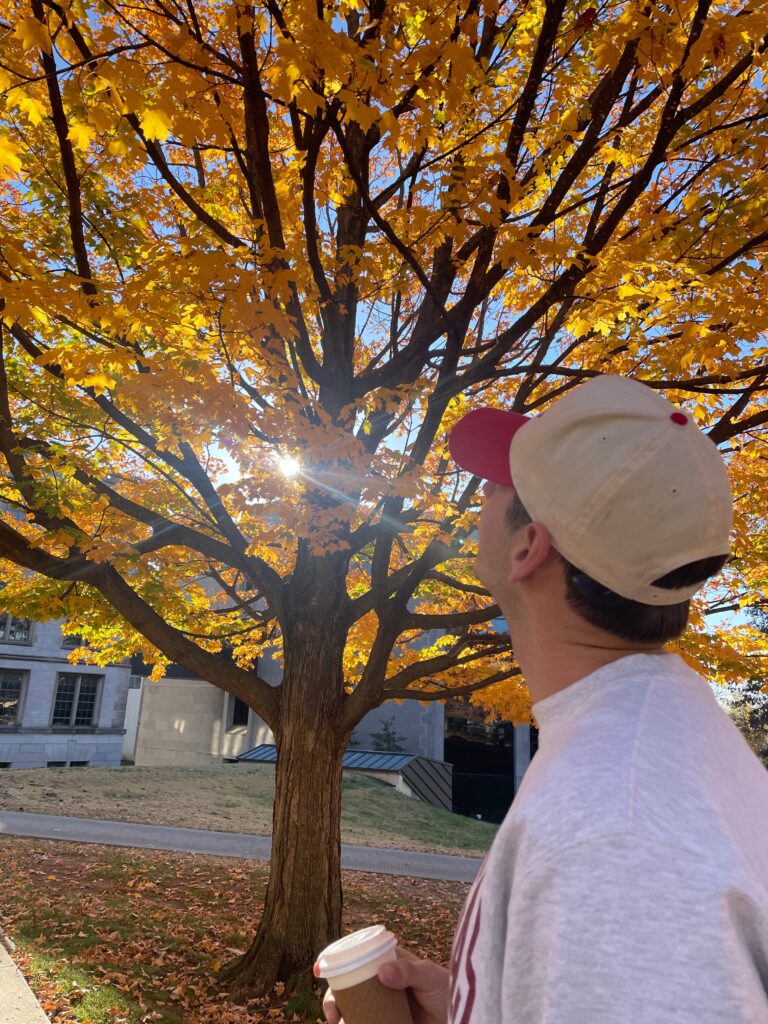 Fall colors at The university of Arkansas